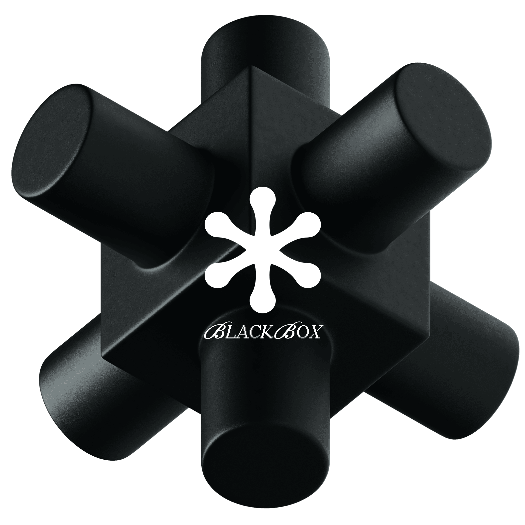 BlackBox — radial sculpture with asterisk mark