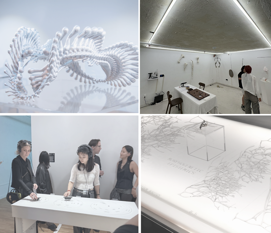 WHITEBOX showcases